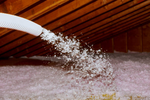 Best Insulation Installation Services in Continental, OH