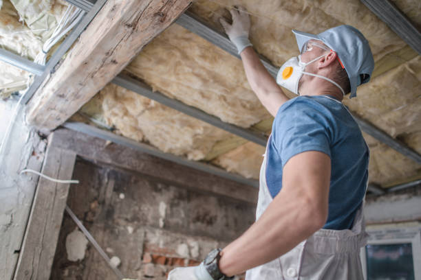 Best Insulation Maintenance and Repair in Continental, OH